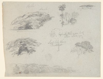 Ağaçlar, Ağaç Tepeleri ve Ormanlık Bir Banka, Saddleback, Maine by Frederic Edwin Church