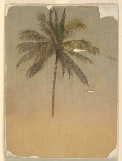 Bir palmiye ağacının gövdesi ve tepesi by Frederic Edwin Church