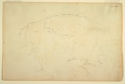 Wooded Hillside, Catskill Dağları by Frederic Edwin Church