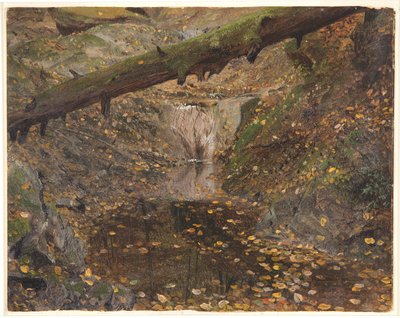 Woodland Stream, muhtemelen Mt. Desert, Maine by Frederic Edwin Church