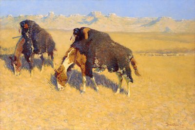  by Frederic Remington