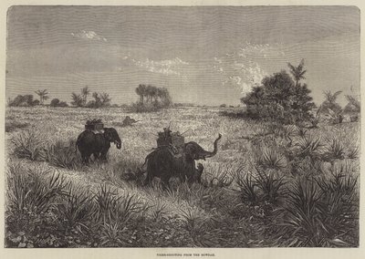 Hindistan ve Galler Prensi, Howdah