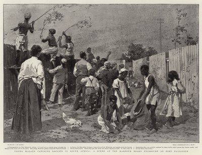 Güney Afrika