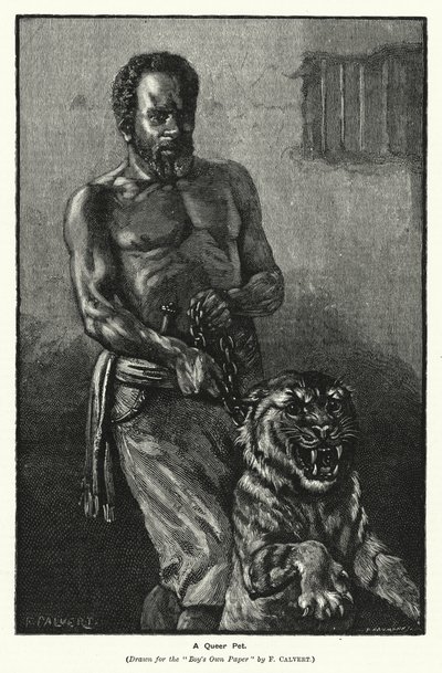 Bir Queer Evcil Hayvan (gravür) by Frederick (after) Calvert