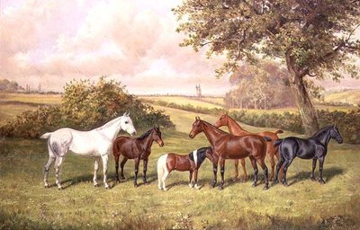 Bir Grup Midilli by Frederick Albert Clark