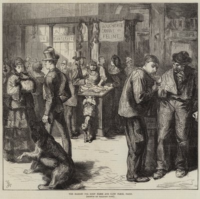 Köpek Eti ve Kedi Eti Pazarı, Paris by Frederick Barnard