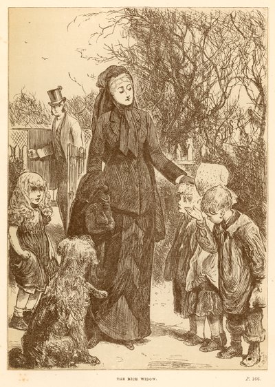 Zengin Dul by Frederick Barnard