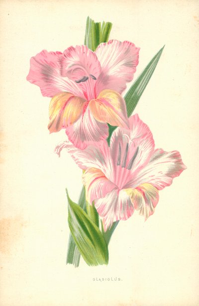 Glayöl by Frederick Edward Hulme