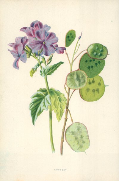 Dürüstlük by Frederick Edward Hulme