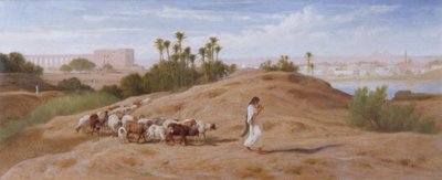 Kahire yakınlarında bir keçi sürüsü by Frederick Goodall