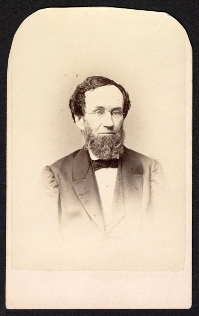 Tanımlanamayan Bir Adamın Portresi, 1860