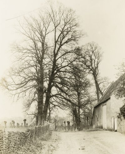  by Frederick H. Evans