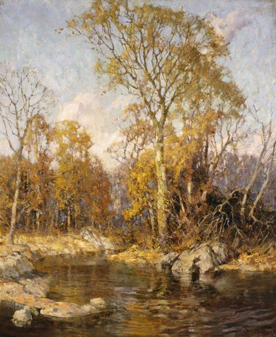 Sonbahar Yansımaları by Frederick John Mulhaupt