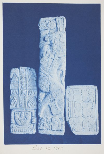 İsimsiz, 12 Aralık by Frederick K. Coulson