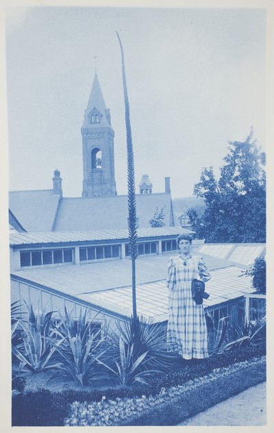 İsimsiz, 19. yüzyılın sonu ile 20. yüzyılın başı (krem dokuma kağıt üzerinde siyanotip) by Frederick K. Coulson