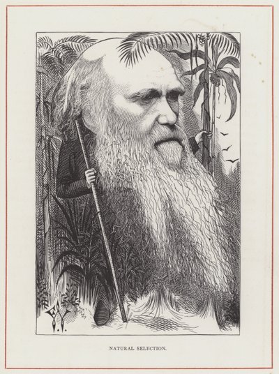 Charles Darwin, Doğal Seleksiyon by Frederick Waddy