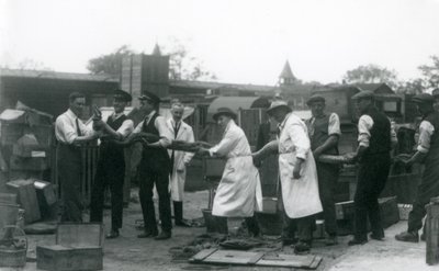 Zooloji Derneği personelinin on bir üyesi tarafından taşınan 20 fit uzunluğunda bir Python, Londra Hayvanat Bahçesi, Haziran 1925 by Frederick William Bond