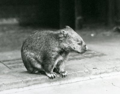 1929