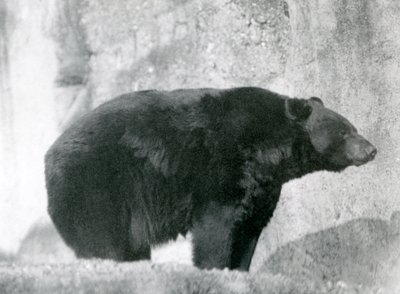 1924
