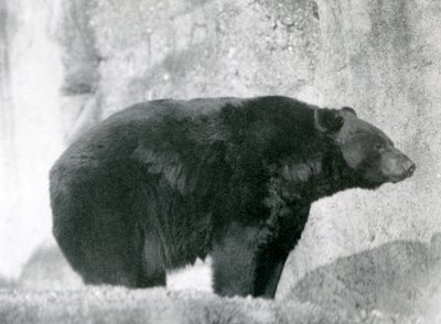 1924