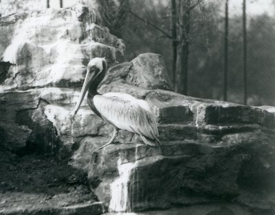 Haziran 1927