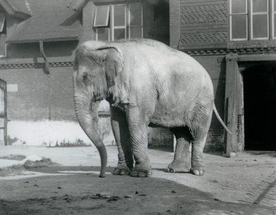 1929