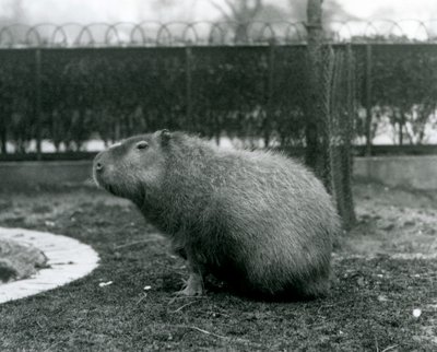 Ağustos 1927