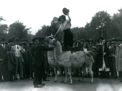 Bir Cowgirl, 1924