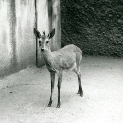 Ağustos 1927