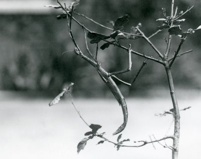 1923