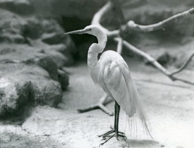 Haziran 1928