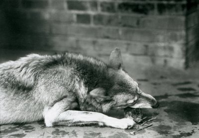 1927