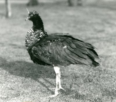 Eylül 1927
