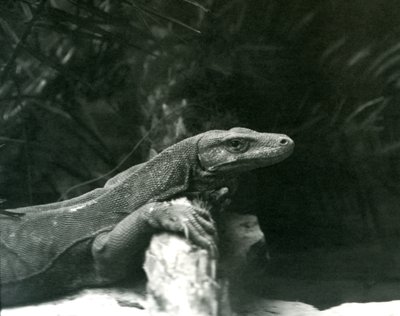 Haziran 1927