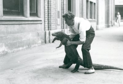 Ağustos 1928