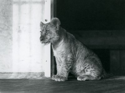 1930