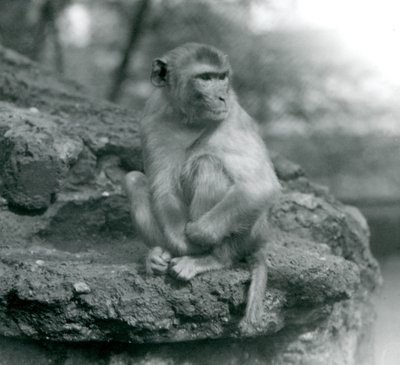 1924