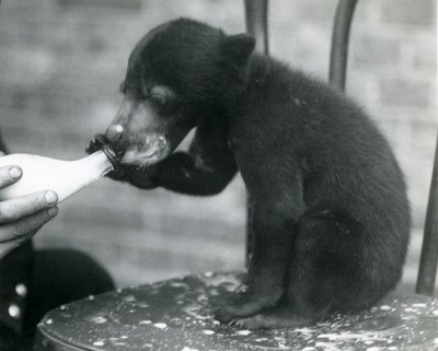 1920