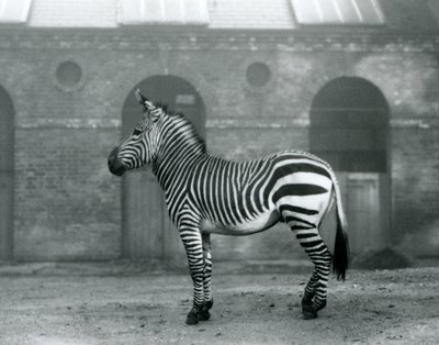 1927