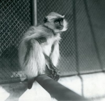1928