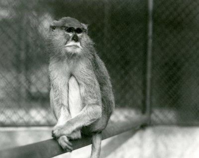1928