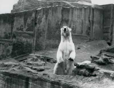Eylül 1928
