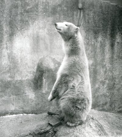 1929