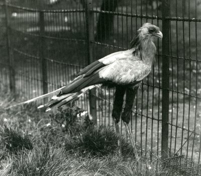 Eylül 1923