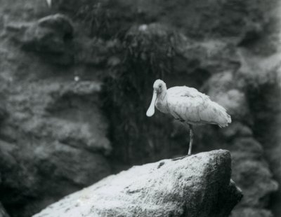 Eylül 1927