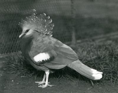 Eylül 1927