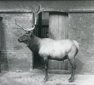 Eylül 1927