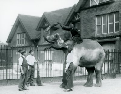 1927