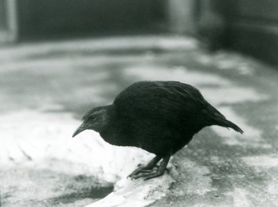 1927