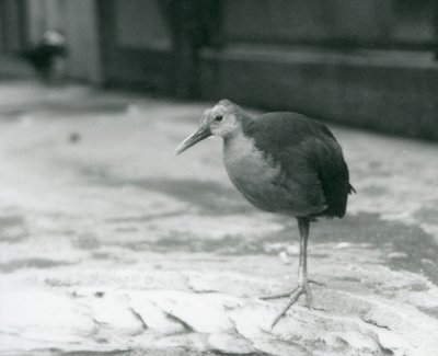 Eylül 1927